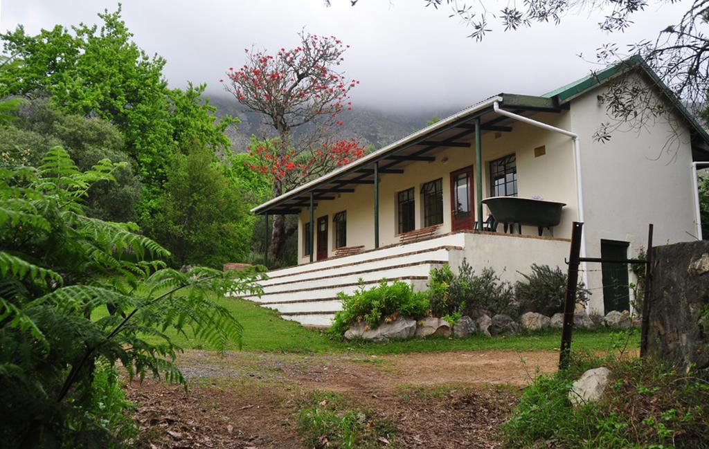 Kierie Kwaak Self Catering Villa Stellenbosch Ngoại thất bức ảnh