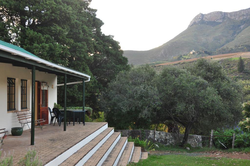 Kierie Kwaak Self Catering Villa Stellenbosch Ngoại thất bức ảnh